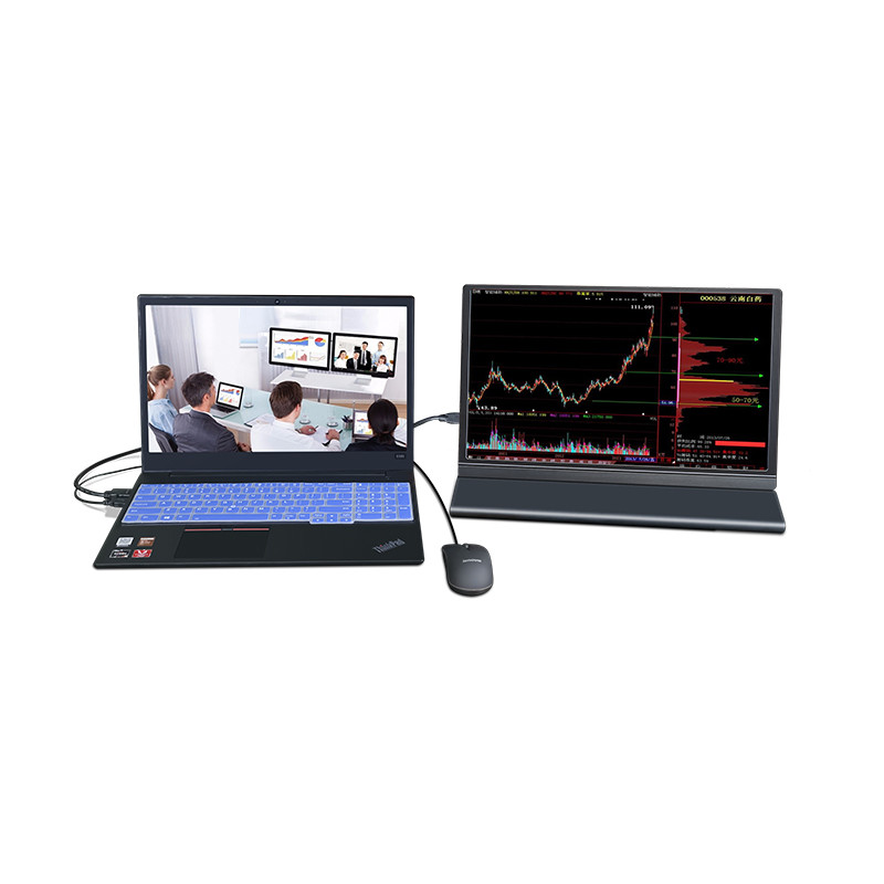 Geteilter Bildschirm 300cd/M2 15,6 Zoll-tragbarer Monitor für Laptop/Smartphone